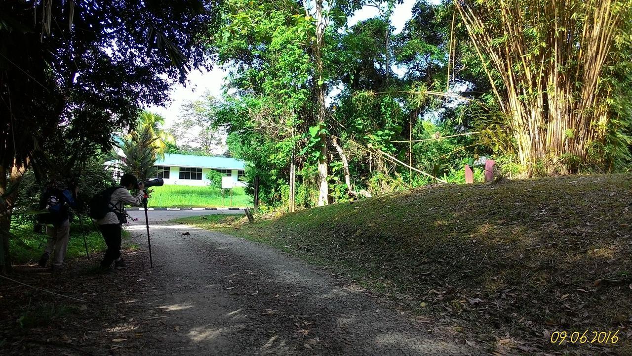 Tempat Tidur & Sarapan Sepilok B&B Sepilok